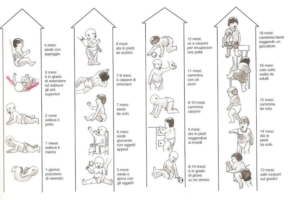 I movimenti fondamentali del bambino